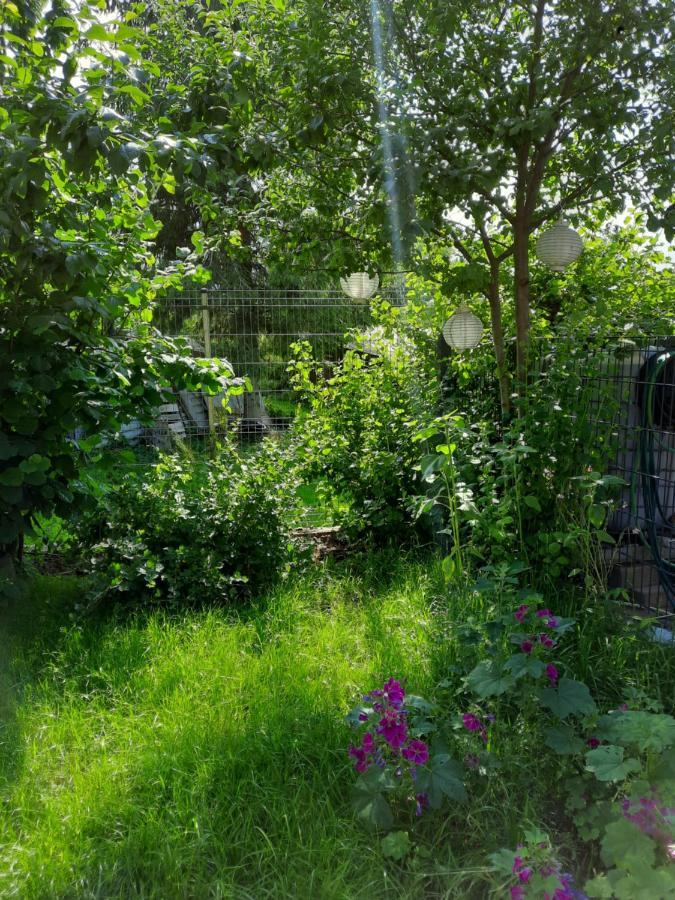 Gaestewohnung Am Thuemmlitzwald Grimma Buitenkant foto
