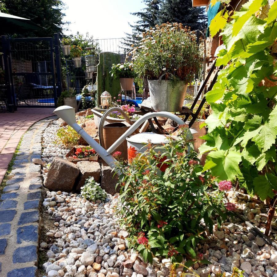 Gaestewohnung Am Thuemmlitzwald Grimma Buitenkant foto